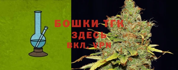 шишки Абаза