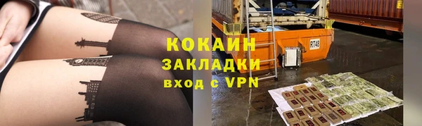 шишки Абаза