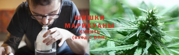 шишки Абаза