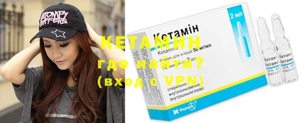 шишки Абаза