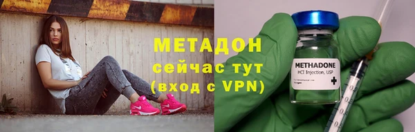 шишки Абаза