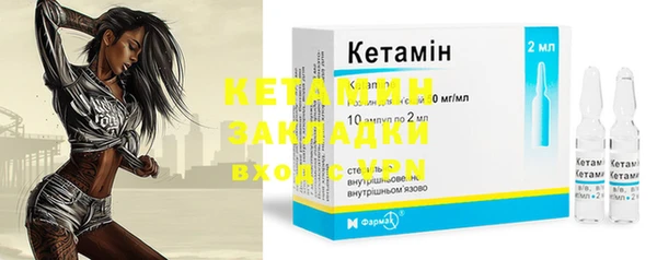 шишки Абаза