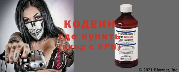 шишки Абаза