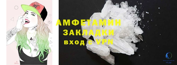 шишки Абаза