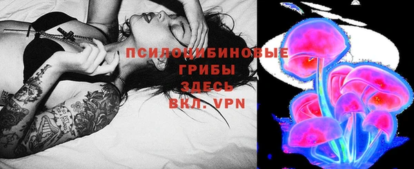 шишки Абаза