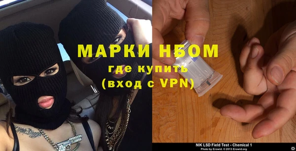 шишки Абаза