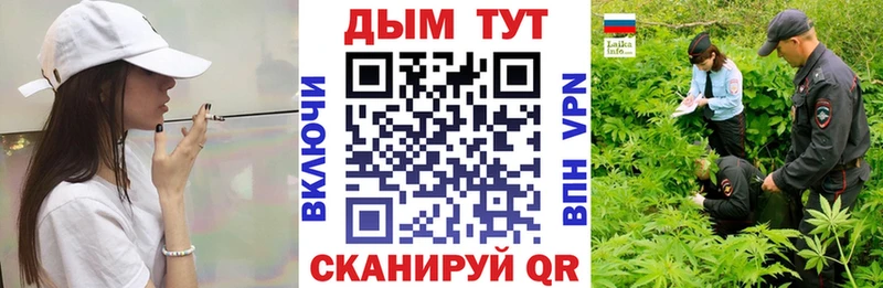 закладки  Чекалин  Бошки марихуана OG Kush 